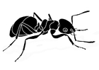 Malvorlage ameise