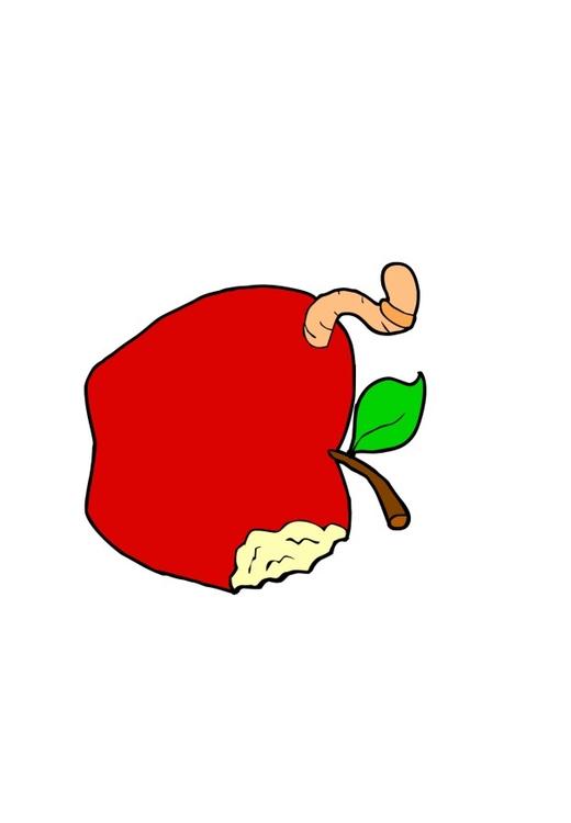 Apfel