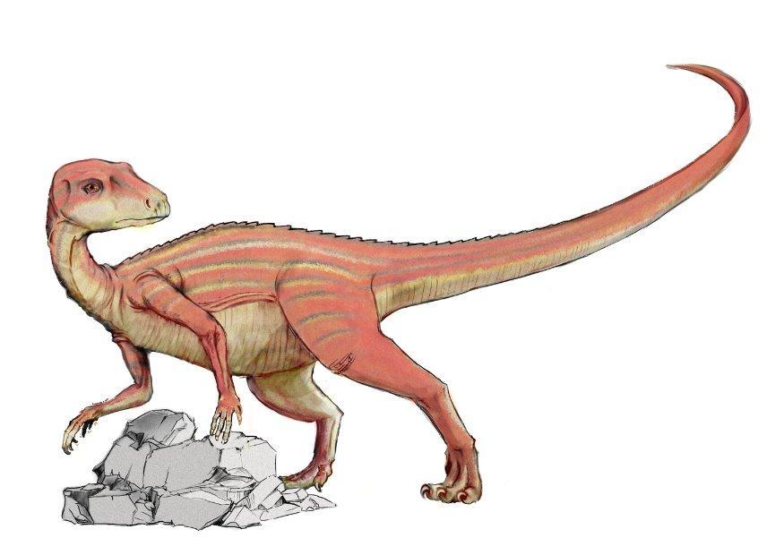 Bild Arbrictosaurier