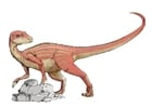 Bilder Arbrictosaurier