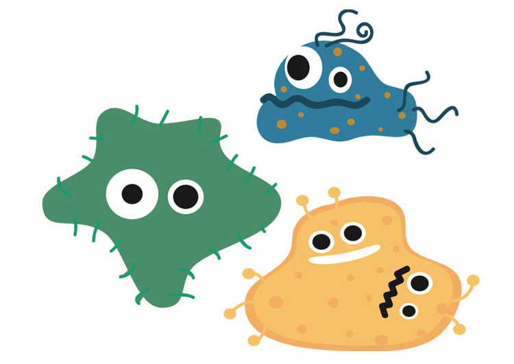 Bild Bakterien
