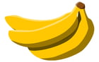 Bild Bananen