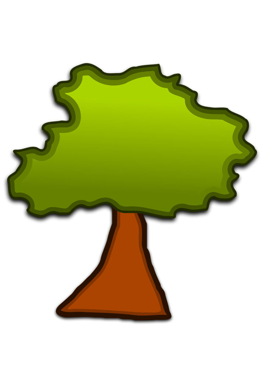 Bild Baum