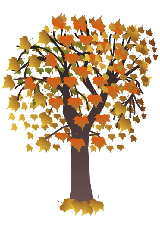 Bild Baum im Herbst