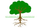 Bild Baum mit Wurzeln