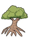 Bild Baum
