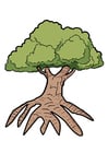 Baum