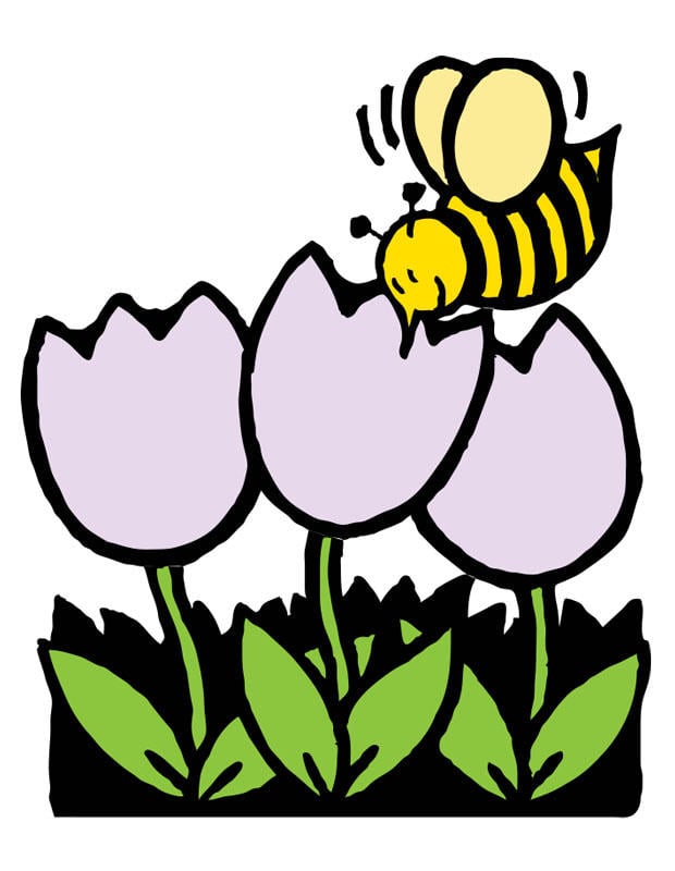 Bild Biene und Tulpen