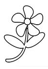 Malvorlage blume