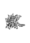 Malvorlage blumen