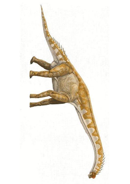 Brachiosaurus