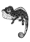 Malvorlage chamäleon
