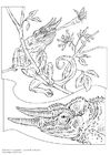 Malvorlage chamäleon