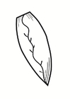 Malvorlage chicorée