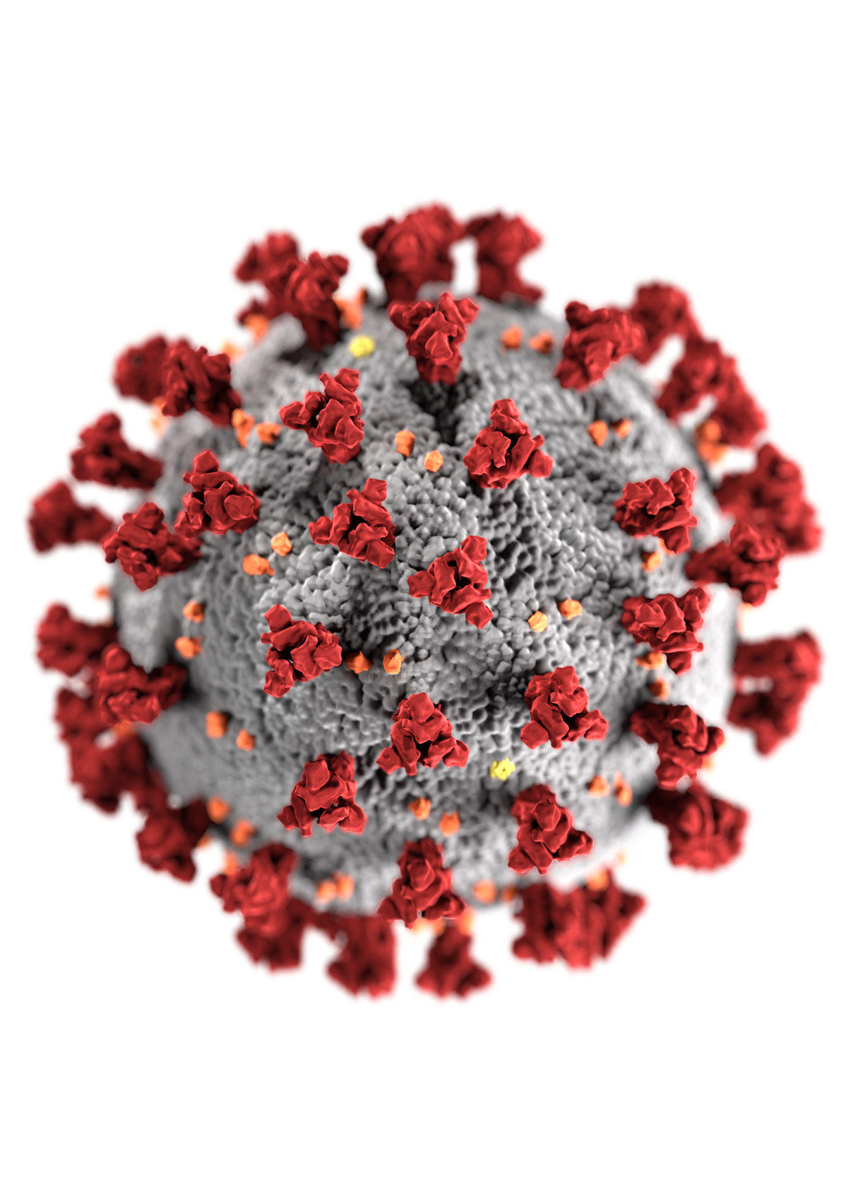 Bild Coronavirus - Kostenlose Bilder Zum Ausdrucken - Bild 31748.