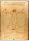 Bild Da Vinci - Vitruvius Mann