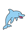 bild Delphin