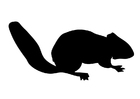 Malvorlage eichhörnchen