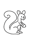 Malvorlage eichhörnchen