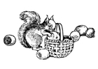 Malvorlage eichhörnchen