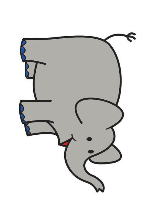 Elefant