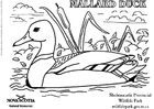 Malvorlage ente