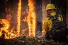 Foto feuerwehrmann