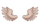 Bilder Flügel