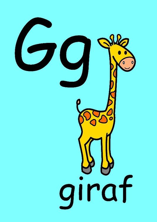 g