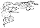 Malvorlage gebäck