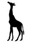 Malvorlage  Giraffe