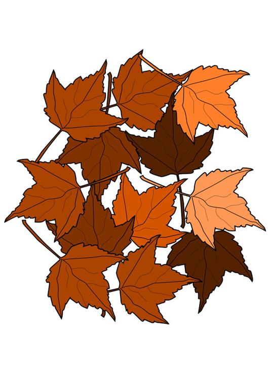 HerbstblÃ¤tter