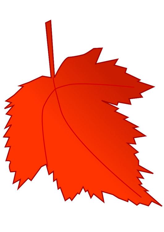 Herbstblatt