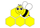 Honigbiene - Front