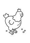 Malvorlage huhn