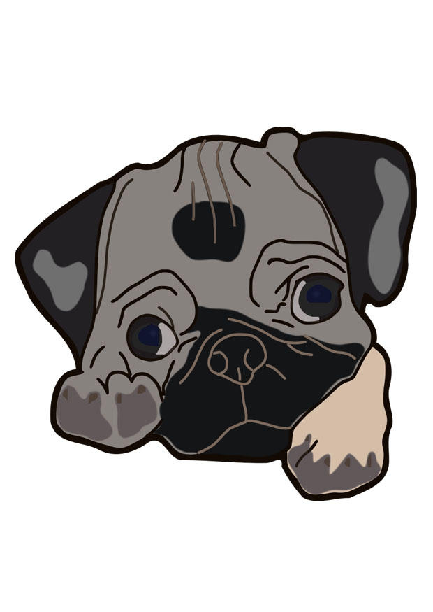 mops carlin chien hond carlino ausdrucken schulbilder ladda