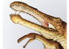 Irritator Dinosaurier