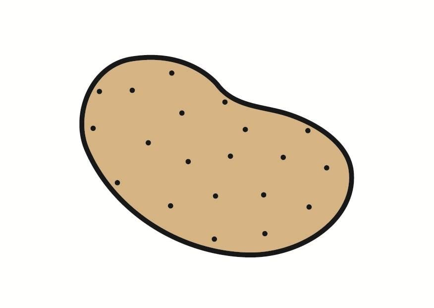 Bild Kartoffel