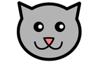 bild Katze