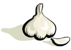 Bild Knoblauch