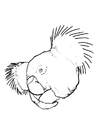 Malvorlage koala