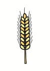 Bilder Korn