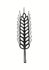 Malvorlage korn