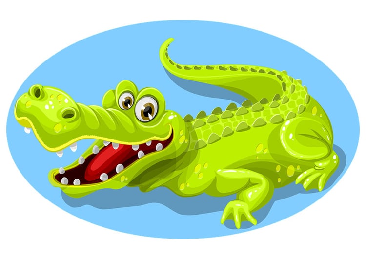 Bild Krokodil