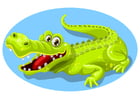 Bilder Krokodil
