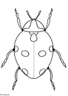 Malvorlage marienkäfer
