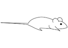 Malvorlage maus