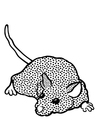 Malvorlage maus