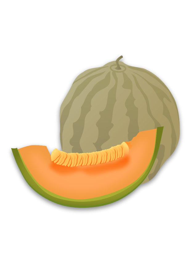 Bild Melone