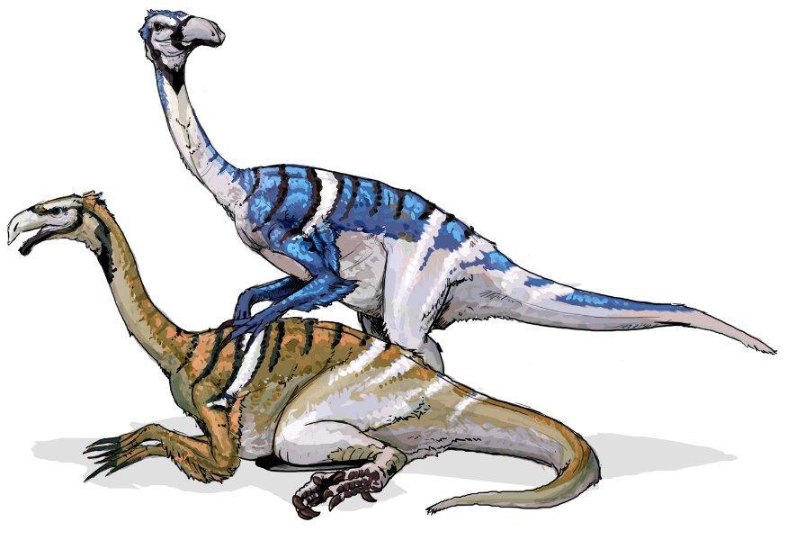 Bild Nanshiungosaurier Dinosaurier